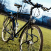 surly-ateliers-fourmi-
