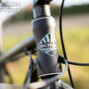 Soma-Rohloff-Sandworm-Ateliers-Fourmi-4498