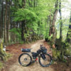 surly-ECR-Rohloff-ateliers-fourmi-093840